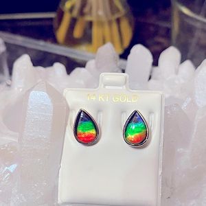14k Gold Ammolite Earrings AAA grade